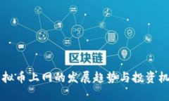 未来虚拟币上网的发展趋