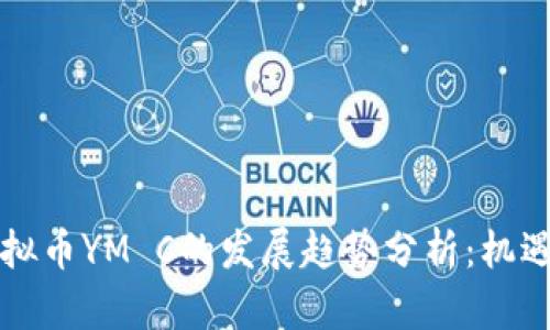 未来虚拟币YM C的发展趋势分析：机遇与挑战
