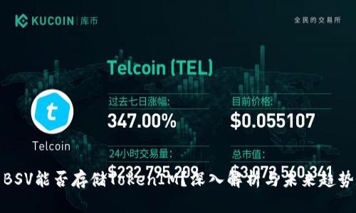 BSV能否存储TokenIM？深入解析与未来趋势