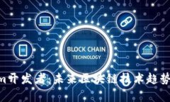 riaotiTokenim开发者：未来区块链技术趋势及其发展