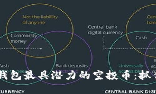 2024年Tokenim钱包最具潜力的空投币：抓住未来的投资机会