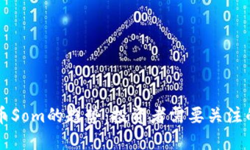 未来虚拟币Som的趋势：投资者需要关注的关键动态