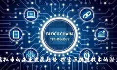 时代网虚拟币的未来发展