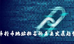 虚拟币持币地址排名的未
