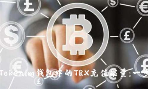 如何给Tokenim钱包中的TRX充值能量：一步步指南