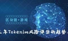 未来几年Tokenim风险评估的