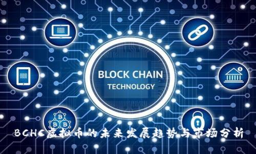 BCHC虚拟币的未来发展趋势与市场分析