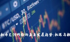 虚拟币支付网络的未来发