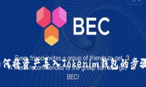 全面解析：如何将资产导入Tokenim钱包的步骤与注意事项