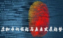 虚拟币的崛起与未来发展