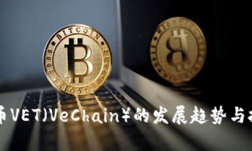 未来数字货币VET（VeChain）的发展趋势与投资前景分析