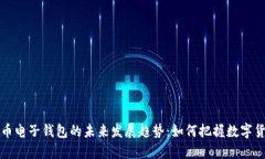 code虚拟币电子钱包的未来