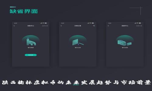 陕西榆林虚拟币的未来发展趋势与市场前景