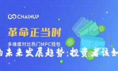 MMR虚拟币的未来发展趋势