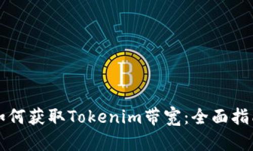 如何获取Tokenim带宽：全面指南