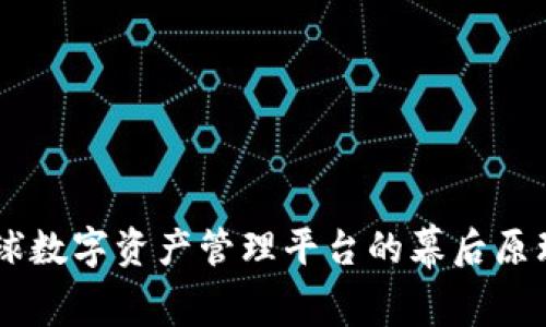 Tokenim：全球数字资产管理平台的幕后原理与国家分布