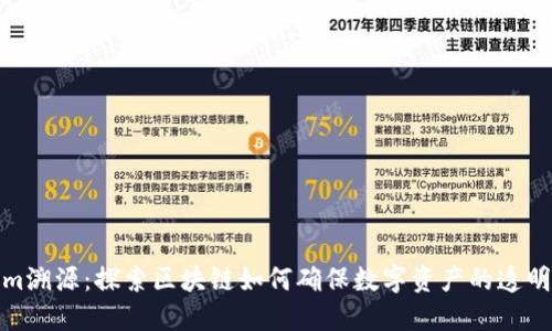 Tokenim溯源：探索区块链如何确保数字资产的透明与安全