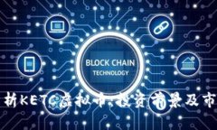 全面解析KETC虚拟币：投资