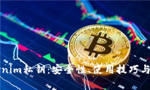 深入了解Tokenim私钥：安全性、使用技巧与常见问题解答
