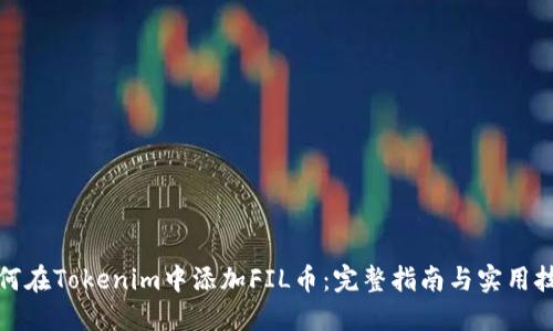 如何在Tokenim中添加FIL币：完整指南与实用技巧