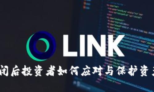 Tokenim 倒闭后投资者如何应对与保护资产的全面指南