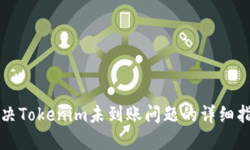 解决Tokenim未到账问题的详细指南