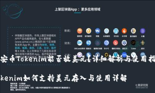 币安币Tokenim能否放美元？详细解析与使用指南

Tokenim如何支持美元存入与使用详解