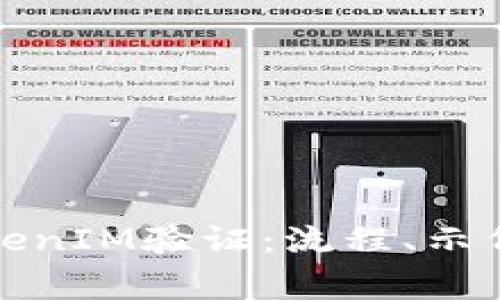 如何进行TokenIM验证：流程、示例与注意事项