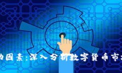 虚拟币的波动因素：深入