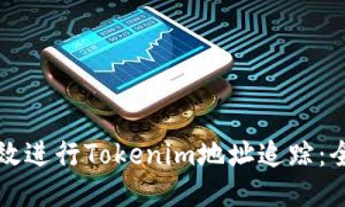 如何高效进行Tokenim地址追踪：全面指南