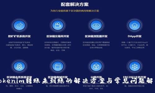 Tokenim转账未到账的解决方案与常见问题解析