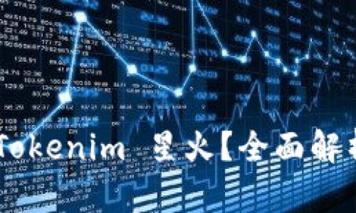 什么是Ethereum Tokenim 星火？全面解析其功能与应用前景