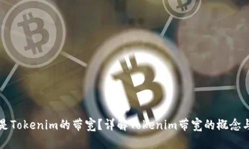 什么是Tokenim的带宽？详解Tokenim带宽的概念与应用