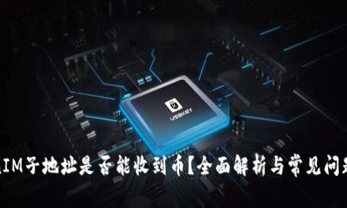 TokenIM子地址是否能收到币？全面解析与常见问题解答
