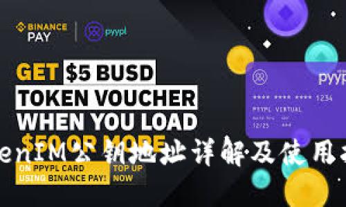 TokenIM公钥地址详解及使用指南