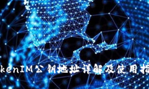 TokenIM公钥地址详解及使用指南