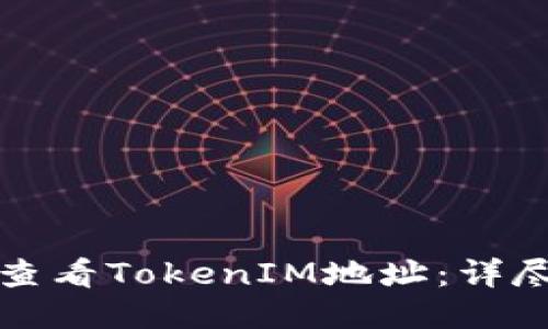 如何查看TokenIM地址：详尽指南