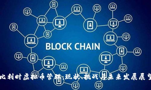 比利时虚拟币管理：现状、挑战与未来发展展望