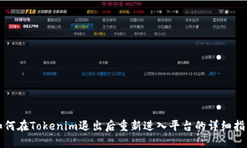 如何在Tokenim退出后重新进入平台的详细指南