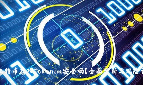 将比特币存入Tokenim安全吗？全面分析与风险评估