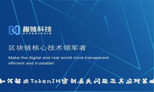 如何解决TokenIM密钥丢失问题及其应对策略