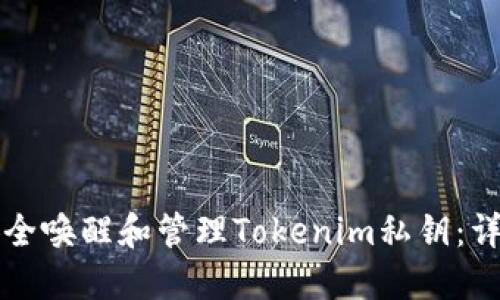 如何安全唤醒和管理Tokenim私钥：详尽指南