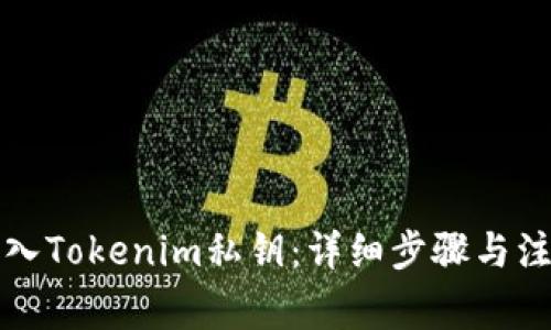 如何导入Tokenim私钥：详细步骤与注意事项