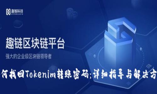 如何找回Tokenim转账密码：详细指导与解决方案
