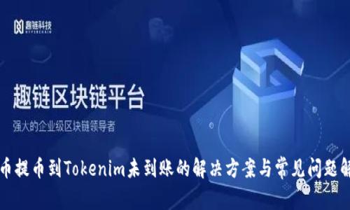 火币提币到Tokenim未到账的解决方案与常见问题解析