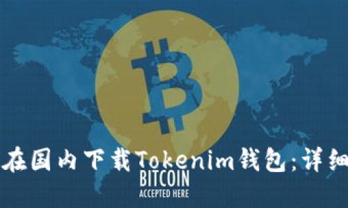 如何在国内下载Tokenim钱包：详细指南