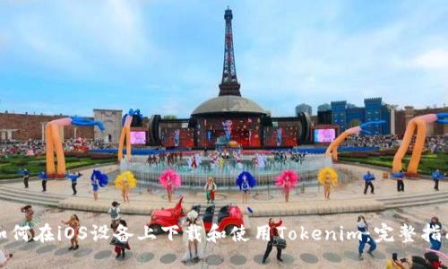 如何在iOS设备上下载和使用Tokenim：完整指南