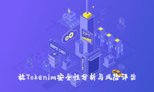 放Tokenim安全性分析与风险评估