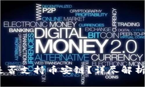 TokenIM 是否支持币安链？详尽解析与使用指南