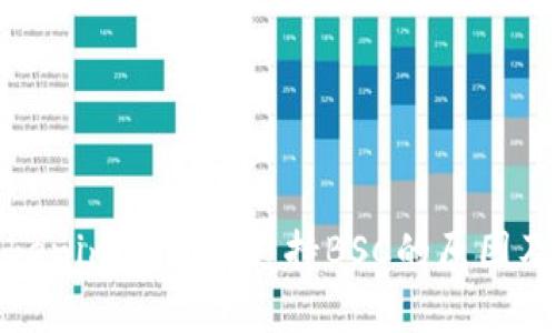 解析Tokenim钱包未支持BSC的原因及其影响